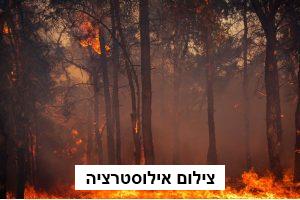 שריפות ענק בגליל העליון