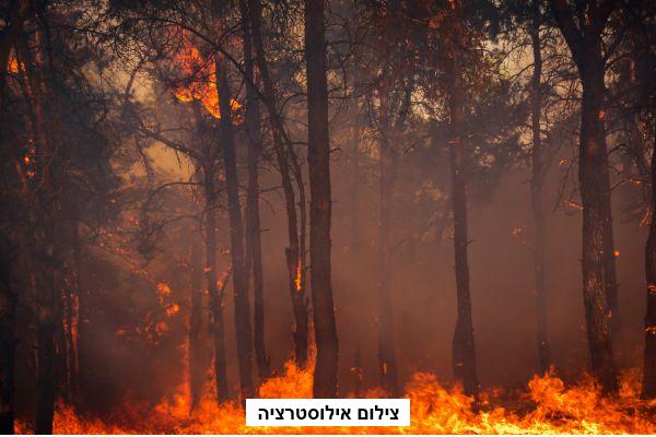 שריפות ענק בגליל העליון